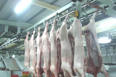 Hà Nội phải 'bêu tên' thực phẩm không an toàn trên báo chí